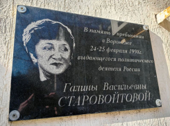 Изменен закон о памятниках на фоне скандала с табличкой убитой либералке в Воронеже