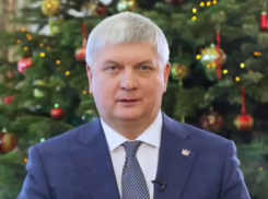 Губернатор Гусев поздравил мобилизовавшихся воронежцев с Новым годом