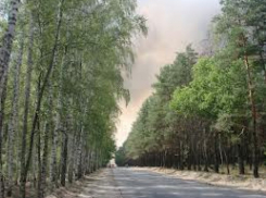 В Воронеже вынесли приговор двум парням, жестоко изнасиловавшим девушку в Боровом