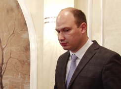 Осужденный Пешков представил проект здания на «Воронежском Арбате»