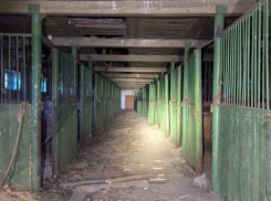 Искали в заброшенной конюшне и реке: как проходили поиски 11-летнего мальчика в Воронежской области