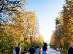 Воронеж вошёл в топ 5 самых озелененных городов России 