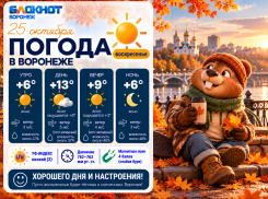 Солнечный подарок от осени: какой будет погода в Воронеже?