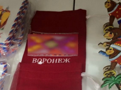 Магазином в Воронежском аэропорту, в котором продавали сувениры со свастикой, заинтересовалась полиция