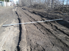 Танковые траншеи вместо дорог возмутили воронежцев