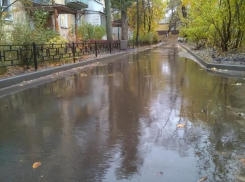 Работу над ошибками просят провести воронежских чиновников 