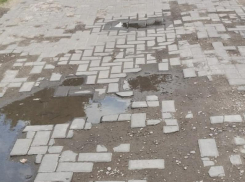 Позорными тротуарами померялись воронежцы