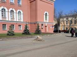 Ну вот и все: возле Дома офицеров в Воронеже спилили последнее дерево 