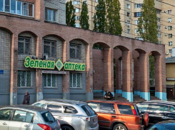 Новое помещение решили выделить на левом берегу воронежскому Музею-диораме