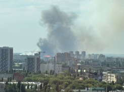 Зарево пожара и сильный запах гари настигли воронежцев в первый учебный день