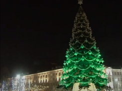 Первое включение новогодней елки попало на видео в Воронеже