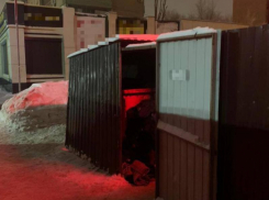 Убийца 17-летней девушки, чье тело нашли на мусорке в Воронеже, мог рассылать видео с ее трупом знакомым