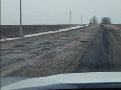 Нужен танк: в Воронежской области устали от ям на дороге