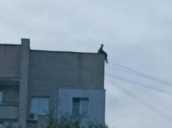 Все переживают, а им весело: прогулка по крыше вывела из себя воронежцев