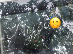Гневное послание оставили автомобилисту на его машине в Воронеже