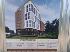 Воронежцы бьют тревогу из-за застройки Бринкманского сада