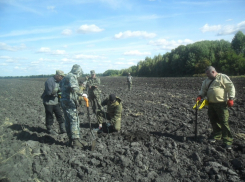 Останки советского солдата обнаружены поисковиками в Воронежской области 