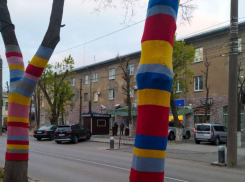Деревья, укутанные в свитера, заметили в Воронеже