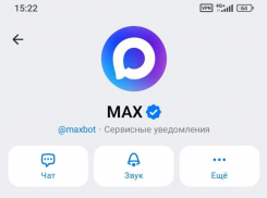 Липчане за 10 миллионов рублей создадут сервис в мессенджере МАКС для воронежского Минздрава 