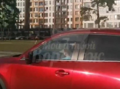 Ребёнок за рулём машины встревожил воронежских водителей