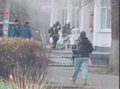 Пожар в котокафе унес жизнь пушистой кошечки