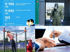 Коронавирус в Воронеже 6 августа: снова 96 зараженных, снова две смерти и снова льготы бизнесу