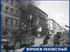 Какую роль в Великой Победе сыграл Воронежский фронт 