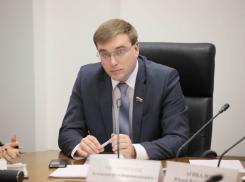 Воронежский «сокол Жириновского» и депутат Овсянников разбогател на 1,7 млн рублей