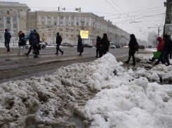 Мэрия Воронежа проиграла - 0:1 в пользу снегопада