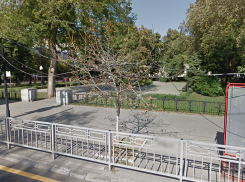 Мэр Кстенин пообещал посадить новые деревья, но то, что они вырастут, не обещал