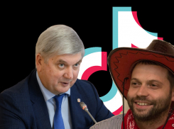 На пиаре губернатора Александра Гусева в TikTok заработает неслучайный человек
