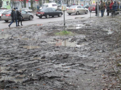 Воронежцы предложили мэру Гусеву пройтись по утонувшим в грязи тротуарам Северного