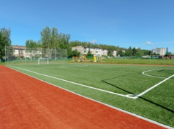 Воронежская область получит деньги из федерального бюджета на развитие спорта