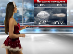 Какая погода будет на Новый год в Воронеже