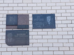 Мемориальную доску установили в память о молодом воронежце, погибшем в СВО