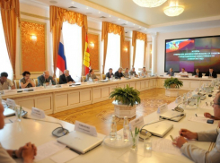 Встреча губернатора Алексея Гордеева с общественниками по выбору «народного» мэра оказалась профанацией?