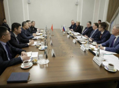 Китайский завод по переработке отходов животноводства построят в Воронежской области