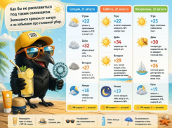 За баню платить не надо: прогноз погоды в Воронеже