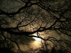 В Воронежской области на молодого человека напали в «глухом месте» 