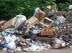 В Воронежской области обнаружено большое количество незаконных свалок