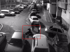 Полицейского обвинили в жестоком избиении воронежца — опубликовано видео