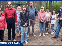 Замуровали в асфальт, обнесли забором: воронежцы бьют тревогу из-за парка «Танаис» 