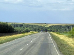 В Каширском районе девушка угнала у молодых людей «Тойоту»