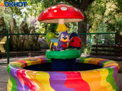 Благоустройство парка привело к уголовному делу о мошенничестве в Воронежской области