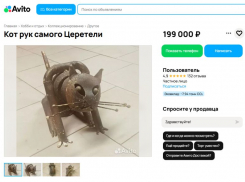 Фигурку кота, созданную самим Зурабом Церетели, продают почти за 200 тыс рублей в Воронеже