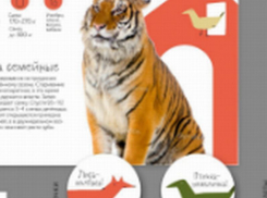 Профессионалы, опираясь на мнения горожан, определят окончательный вариант фирменного стиля Воронежского зоопарка