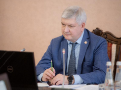 Губернатор остался недоволен воронежскими УК в аномальный снегопад