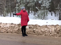 Между ценами на такси и лесом: воронежцы стали заложниками перевозчика