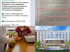 Коронавирус в Воронеже 9 февраля: +369 зараженных, 20 смертей и отстранение медиков от работы 