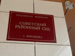 Судья Глущенко была лишена полномочий за дисциплинарный проступок в Воронеже